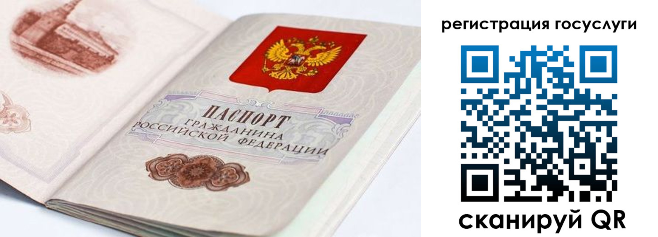 временная регистрация госуслуги в Петропавловске-Камчатском