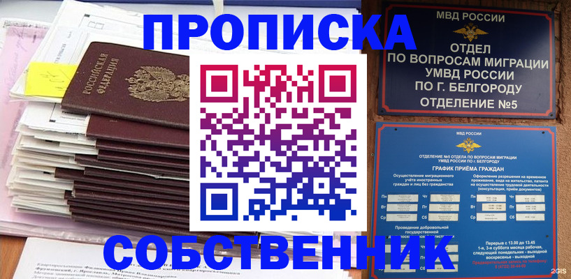 прописка законно в Петропавловске-Камчатском